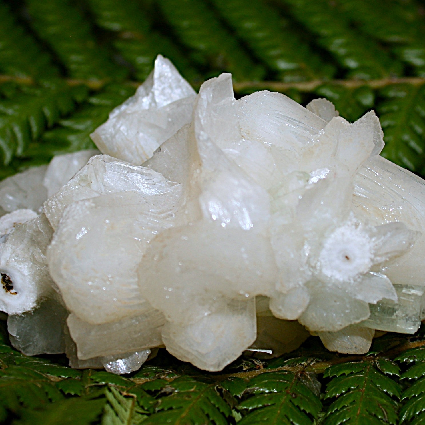 Green Apophylite and Stilbite Specimen