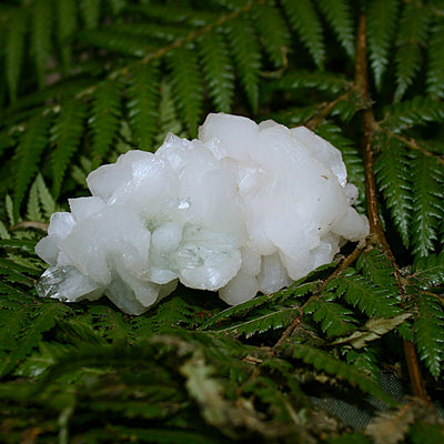 Green Apophylite and Stilbite Specimen
