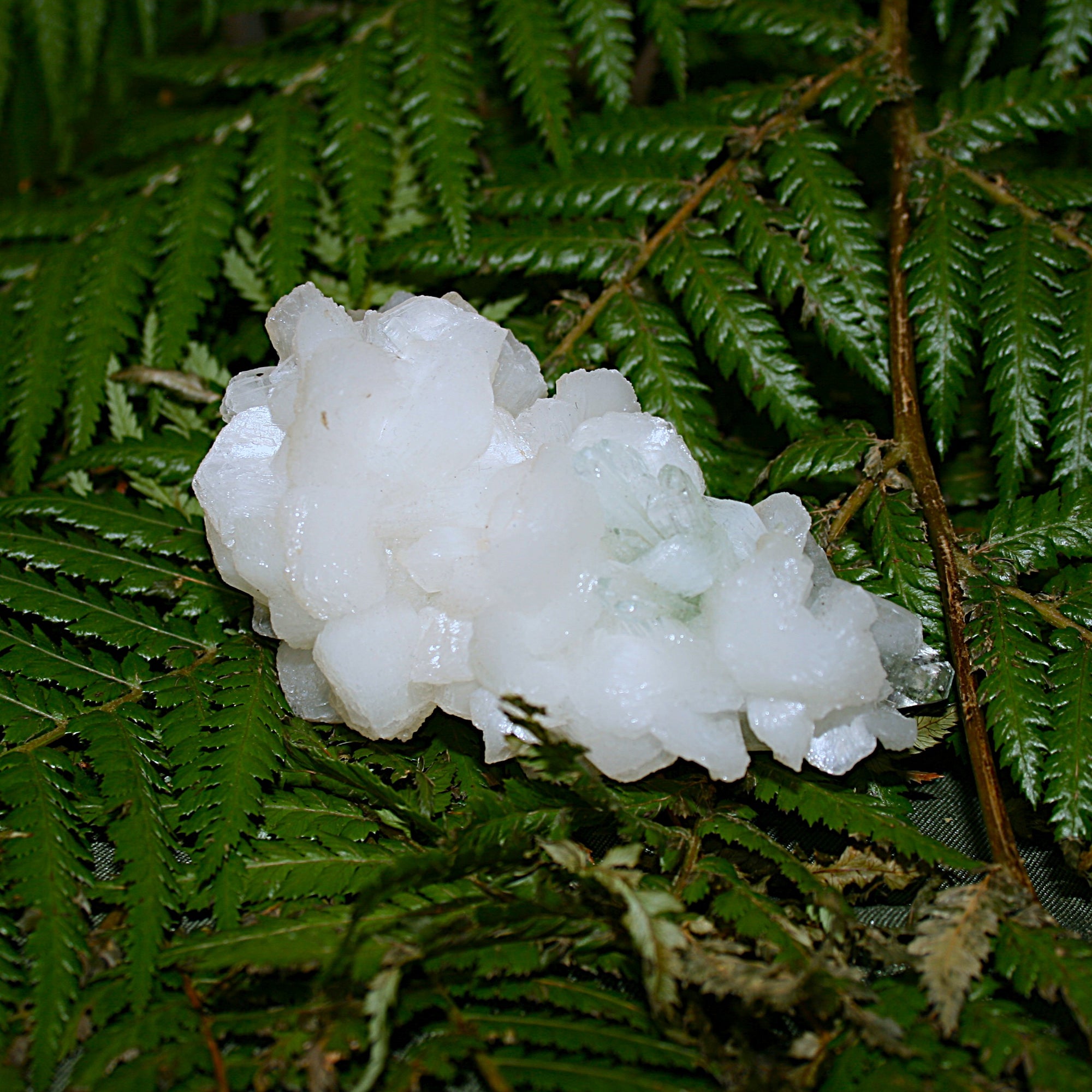 Green Apophylite and Stilbite Specimen