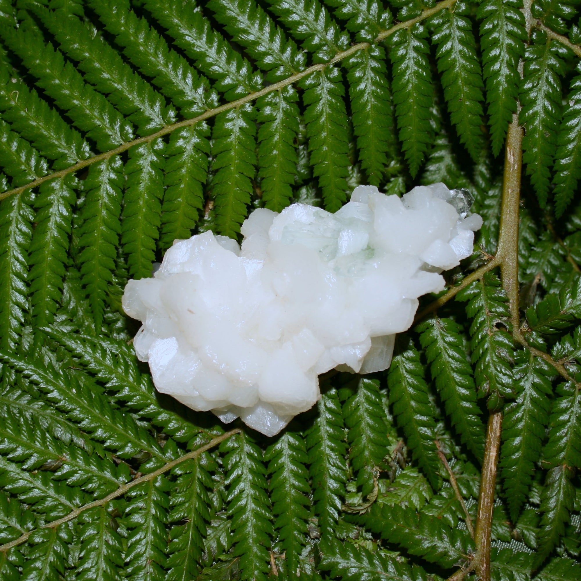 Green Apophylite and Stilbite Specimen