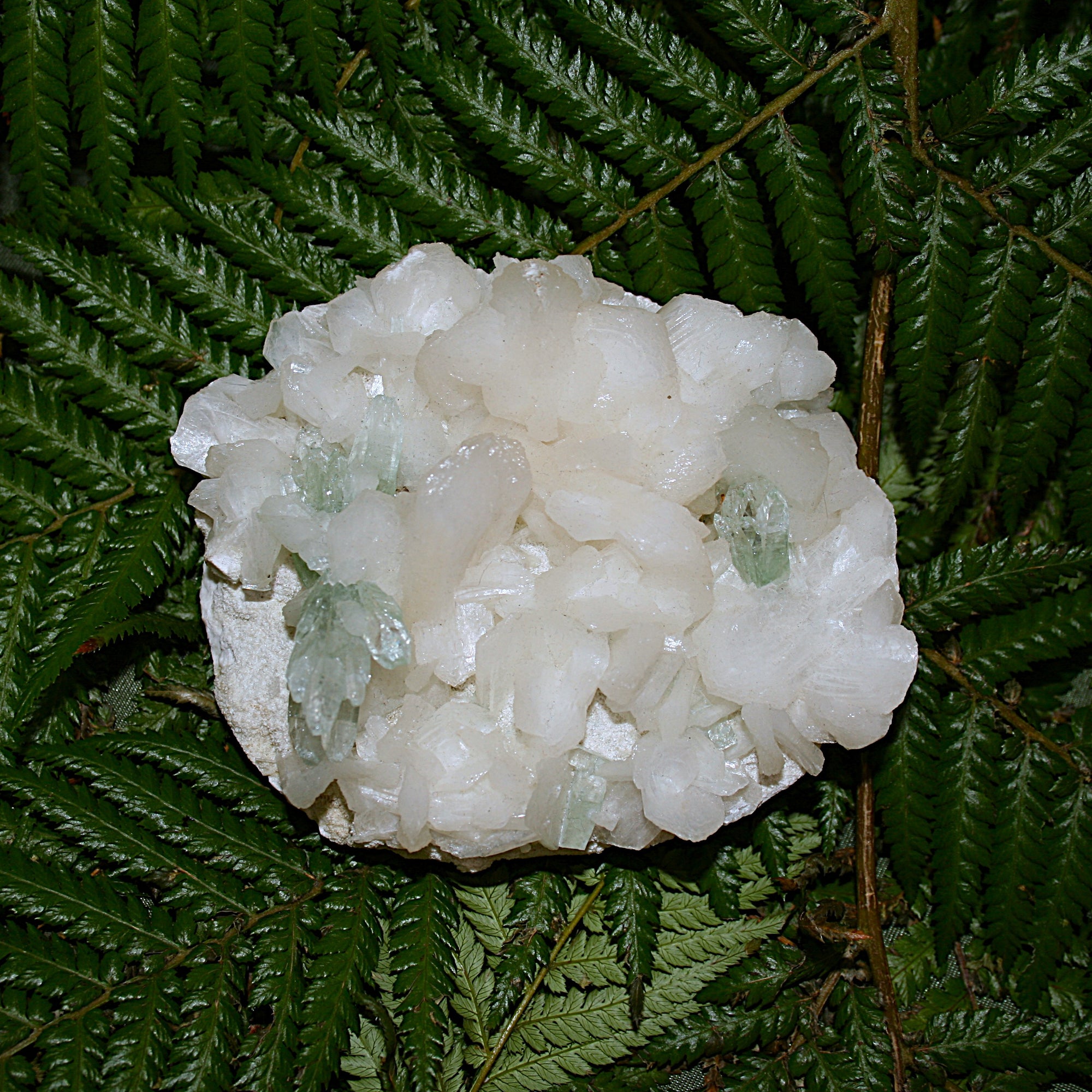 Green Apophylite and Stilbite Specimen