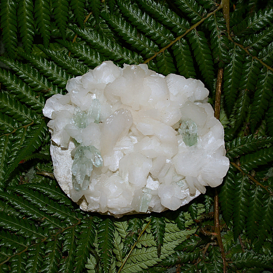 Green Apophylite and Stilbite Specimen