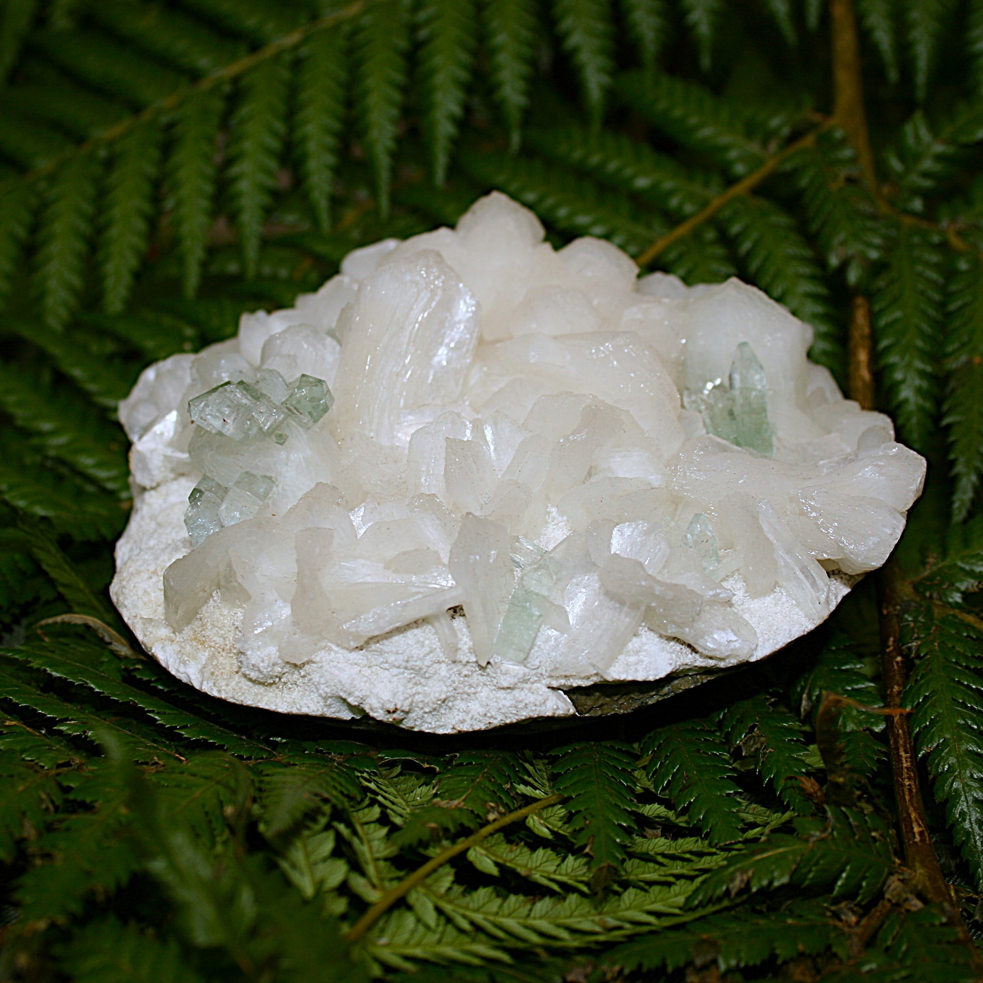 Green Apophylite and Stilbite Specimen
