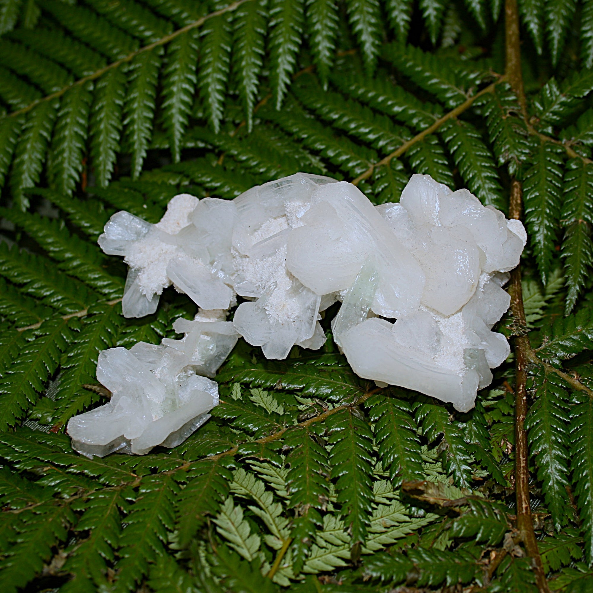 Green Apophylite and Stilbite Specimen