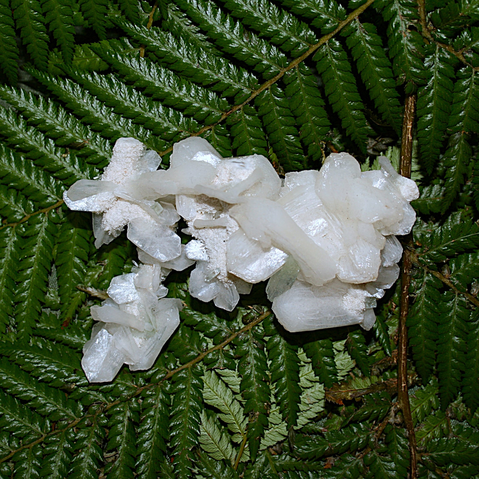 Green Apophylite and Stilbite Specimen