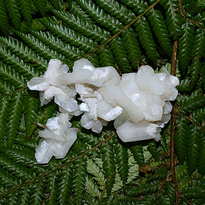 Green Apophylite and Stilbite Specimen