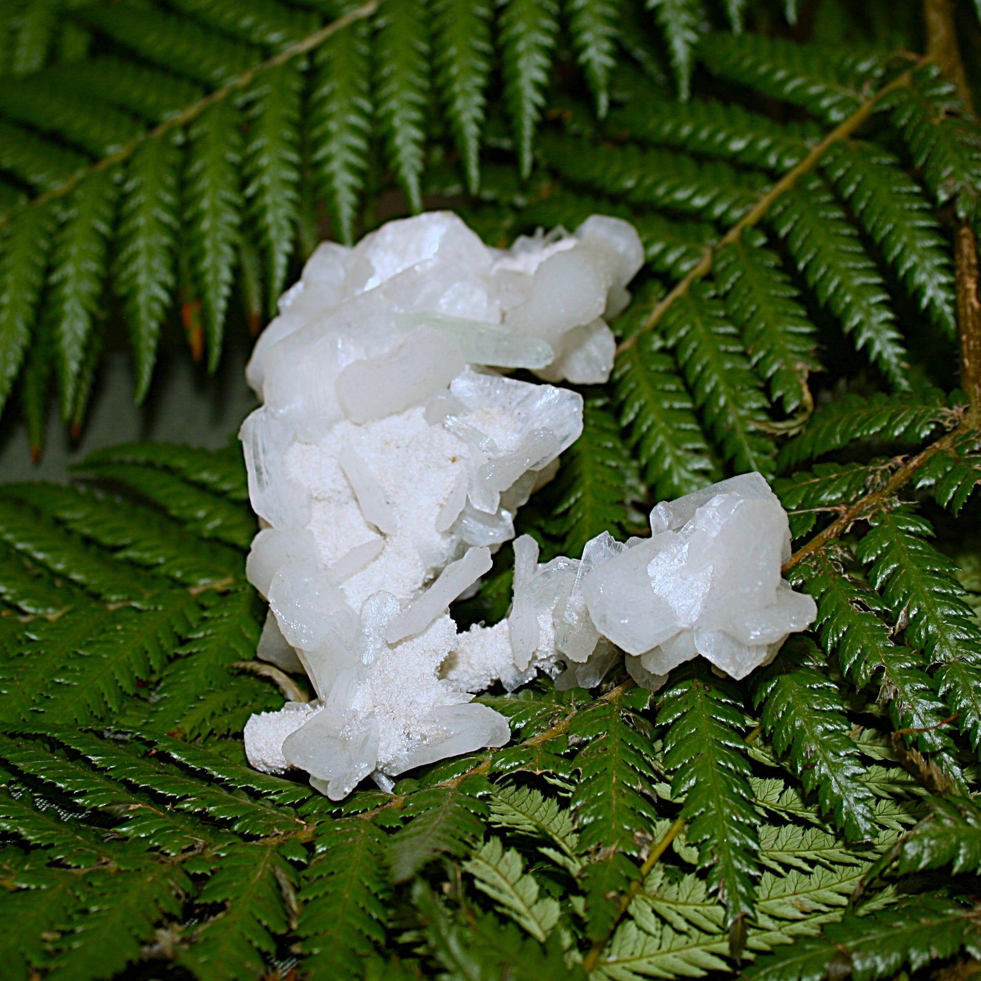 Green Apophylite and Stilbite Specimen