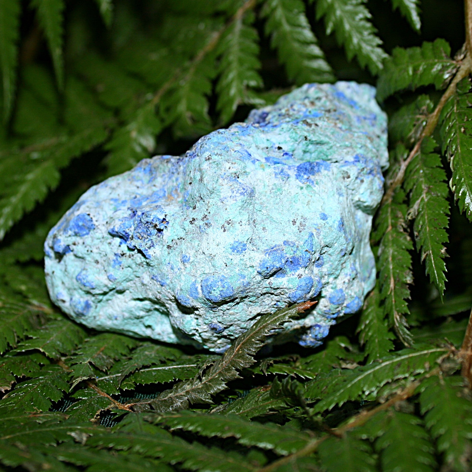 Azurite Specimen