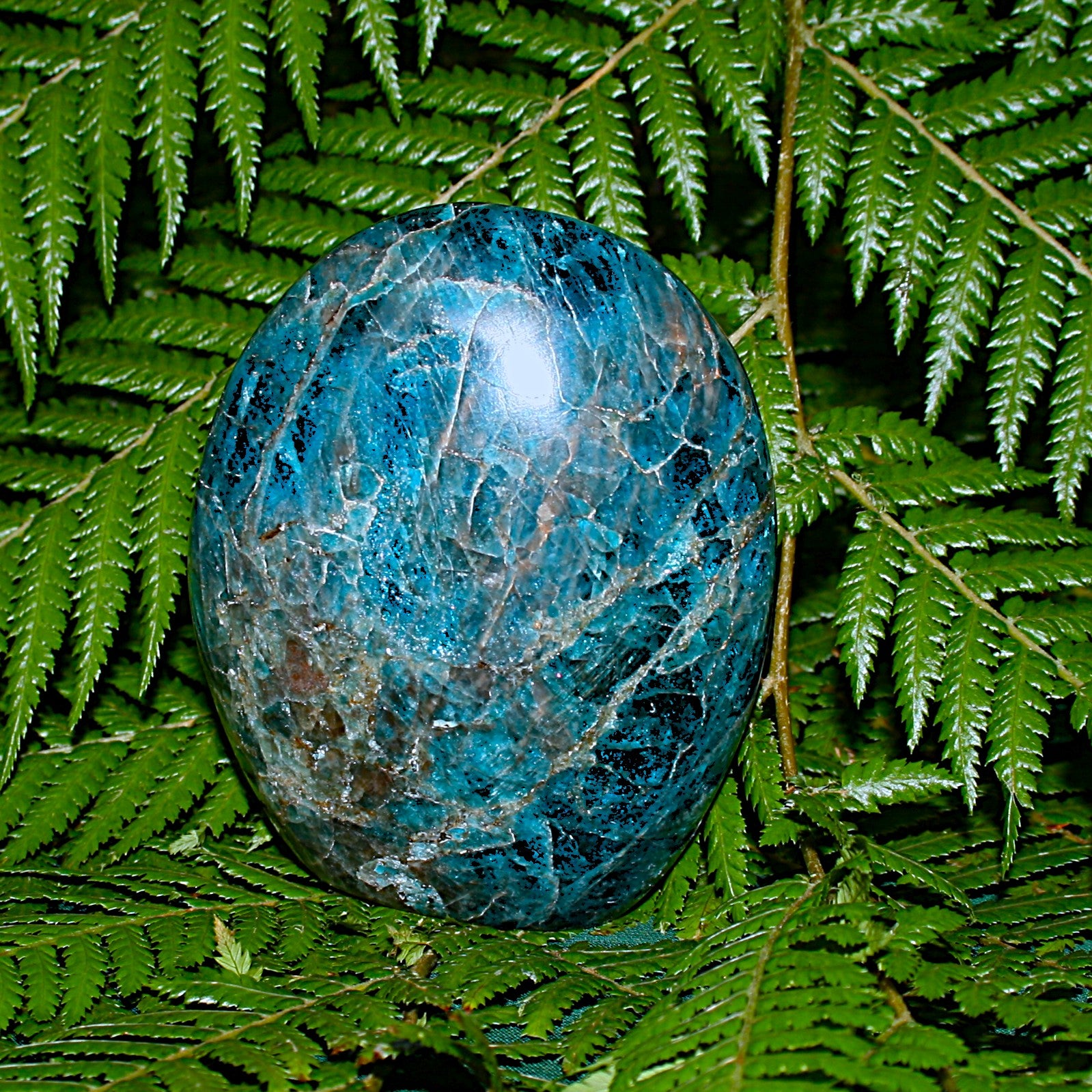 Blue Apatite Freeform