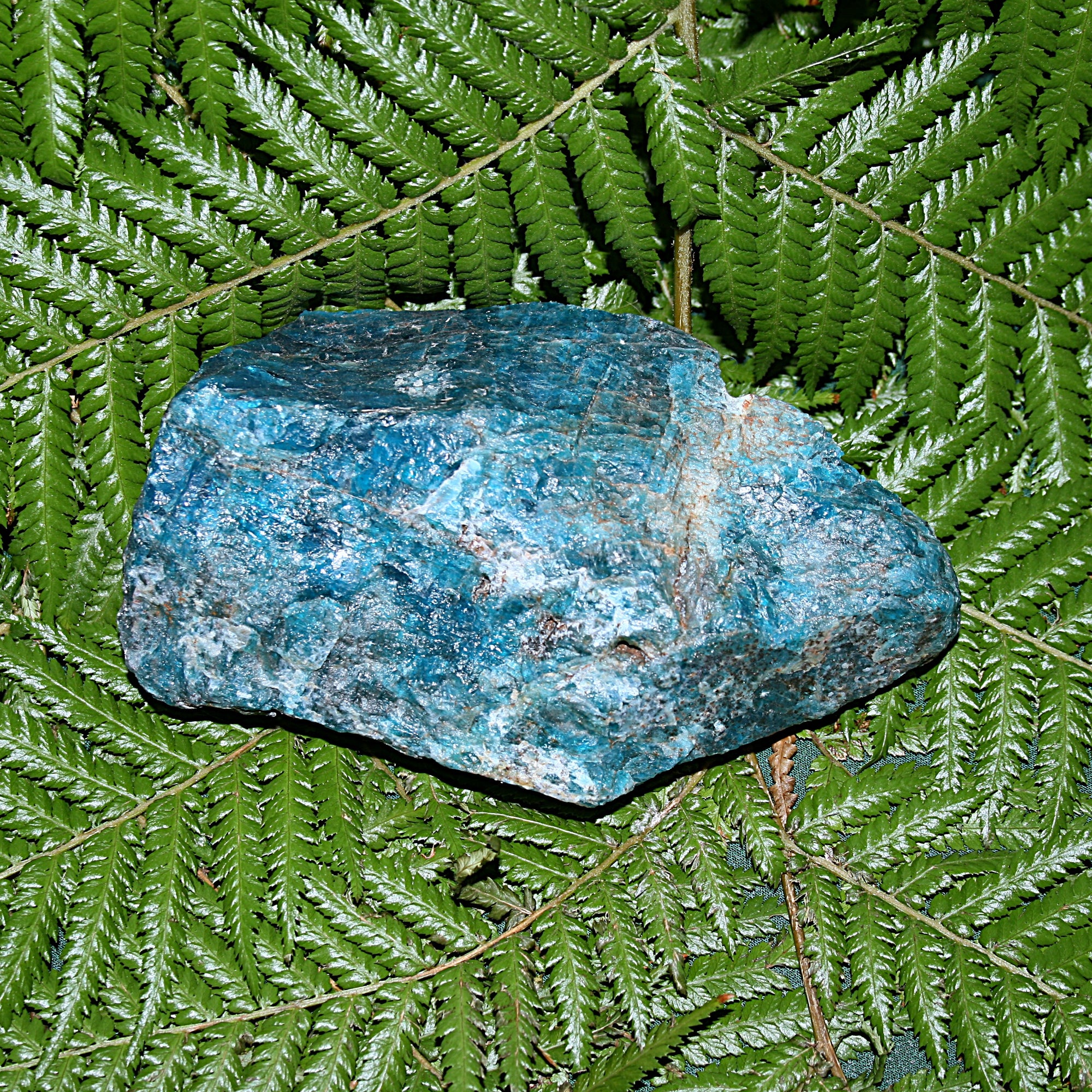 Raw Blue Apatite