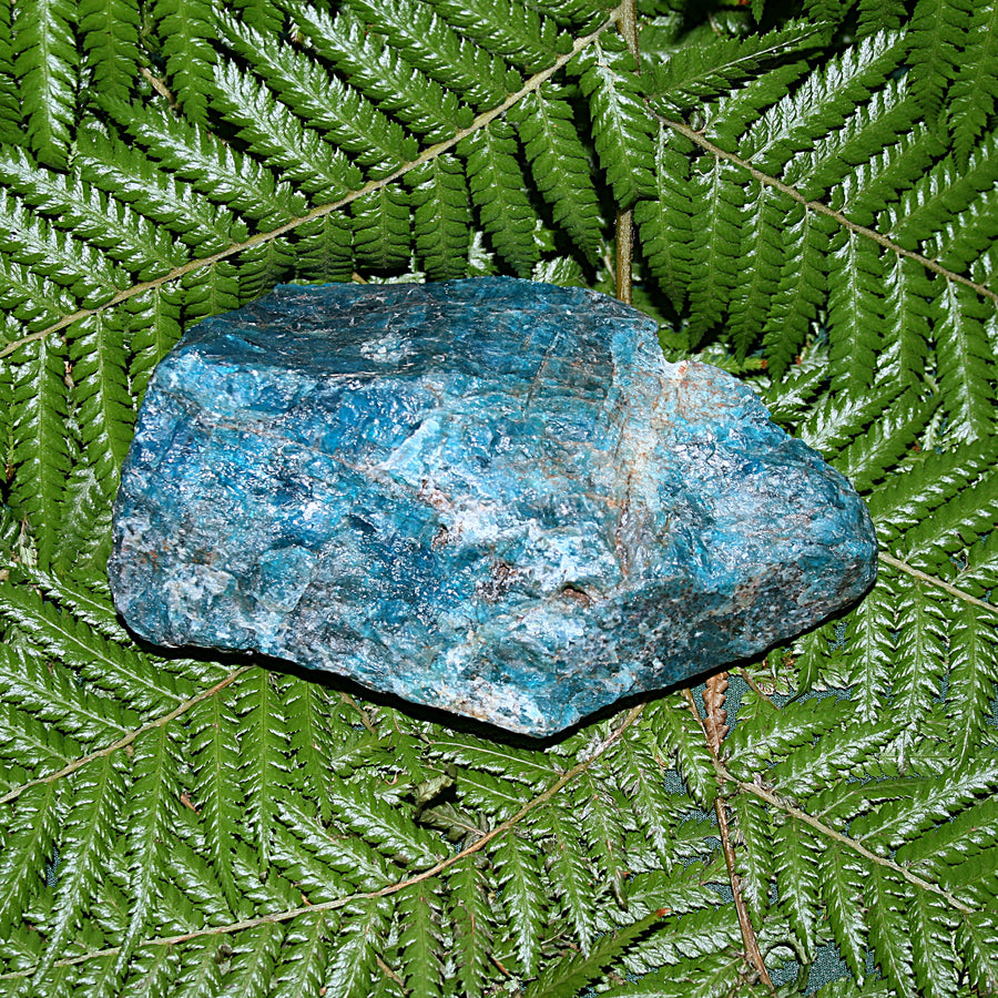 Raw Blue Apatite