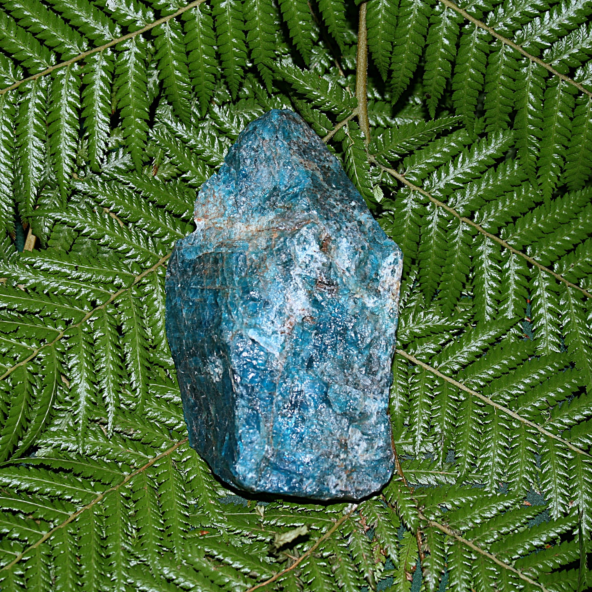 Raw Blue Apatite