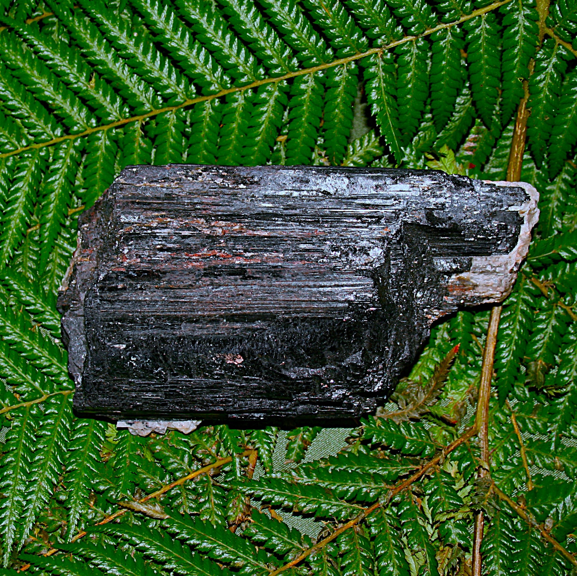 Black Tourmaline with Mica