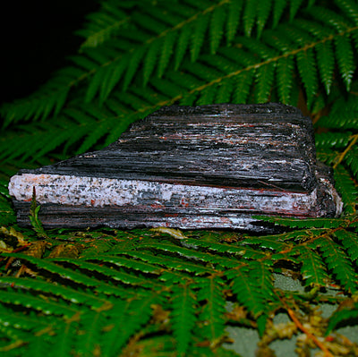 Black Tourmaline with Mica