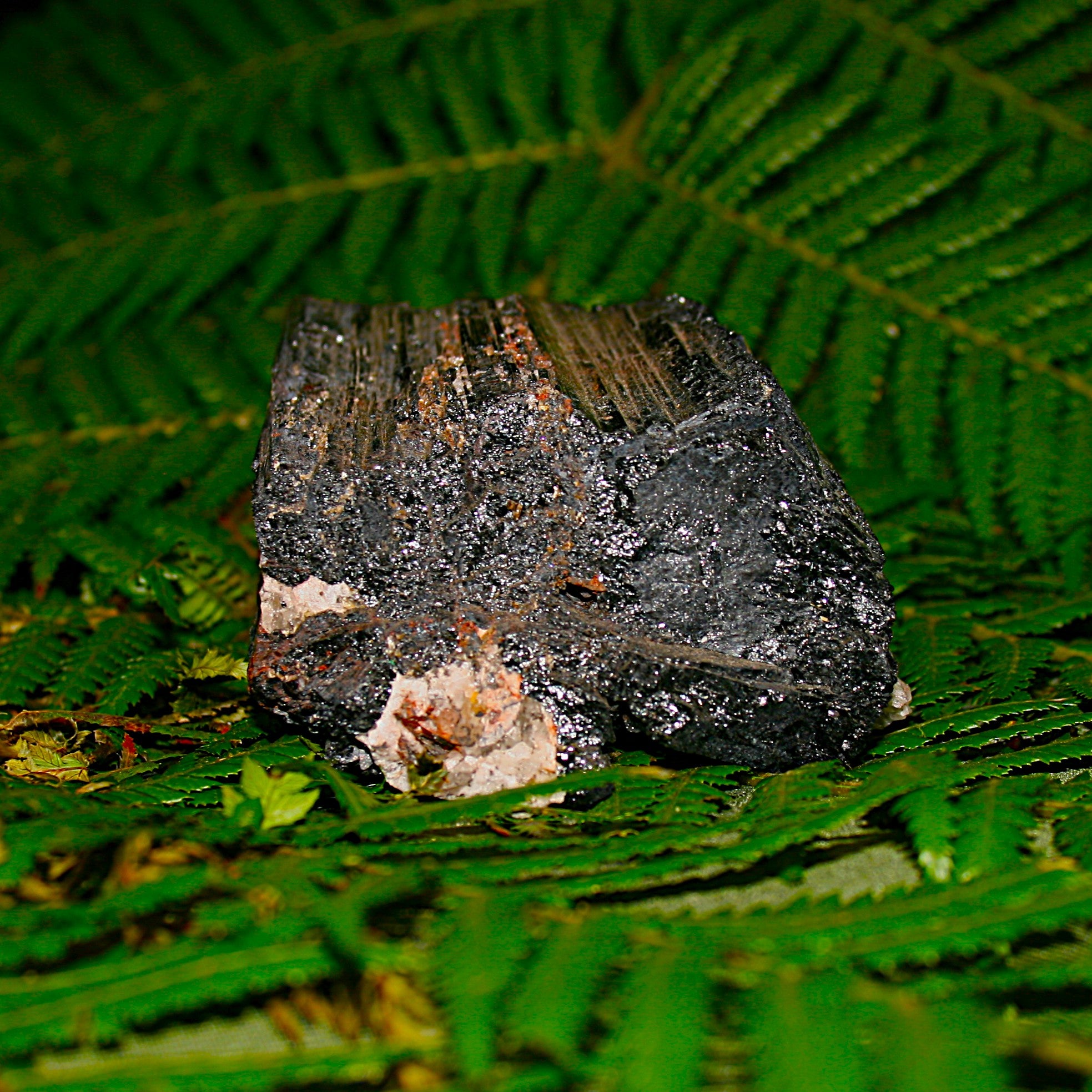 Black Tourmaline with Mica