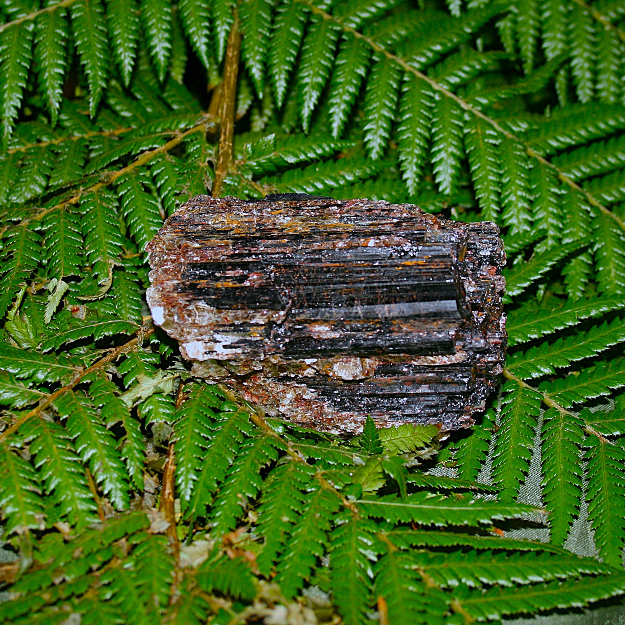 Black Tourmaline with Mica