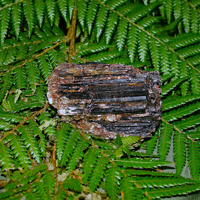 Black Tourmaline with Mica