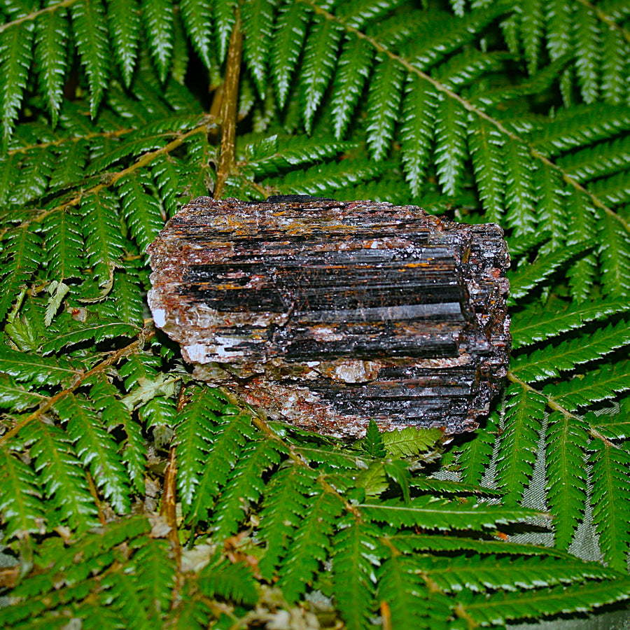 Black Tourmaline with Mica