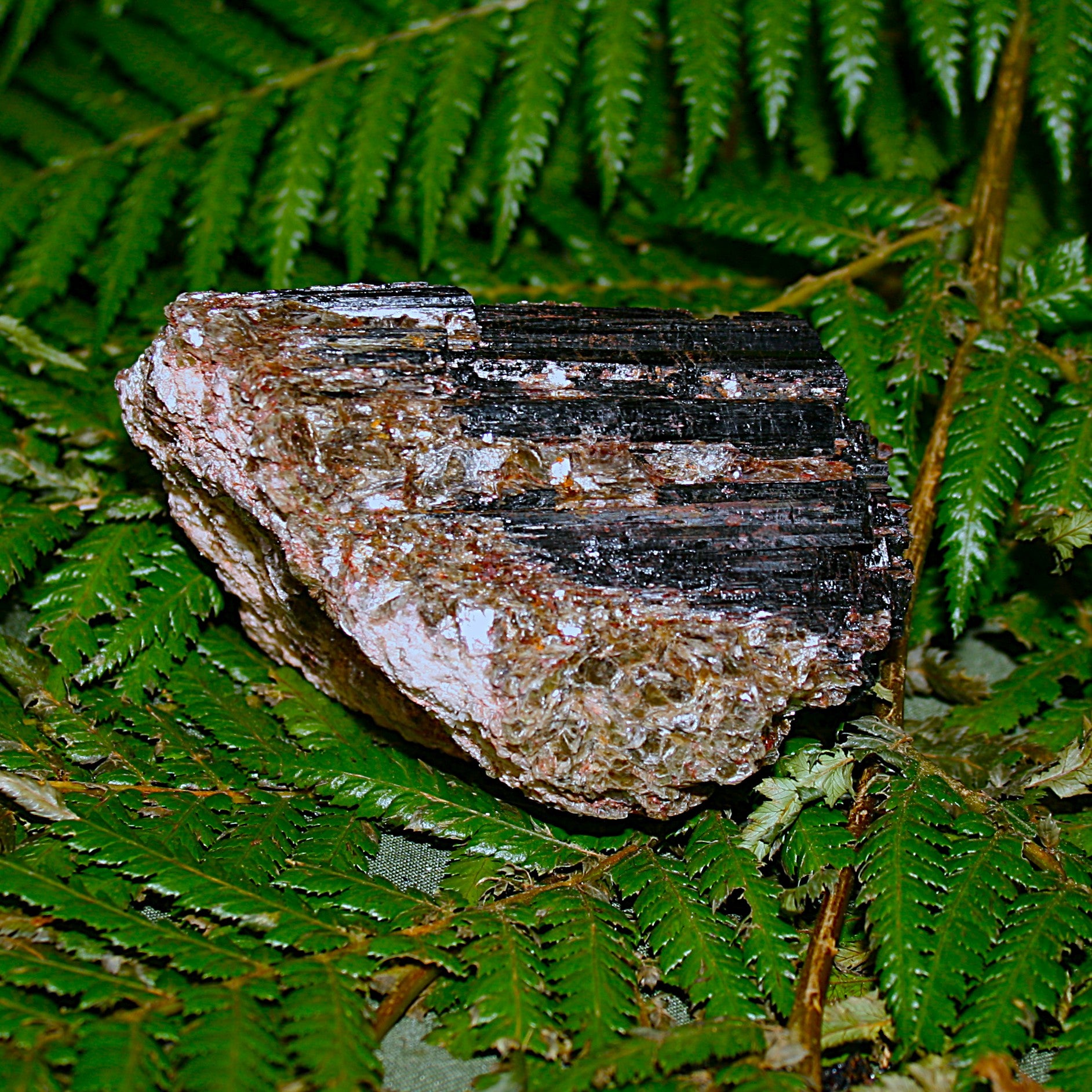 Black Tourmaline with Mica