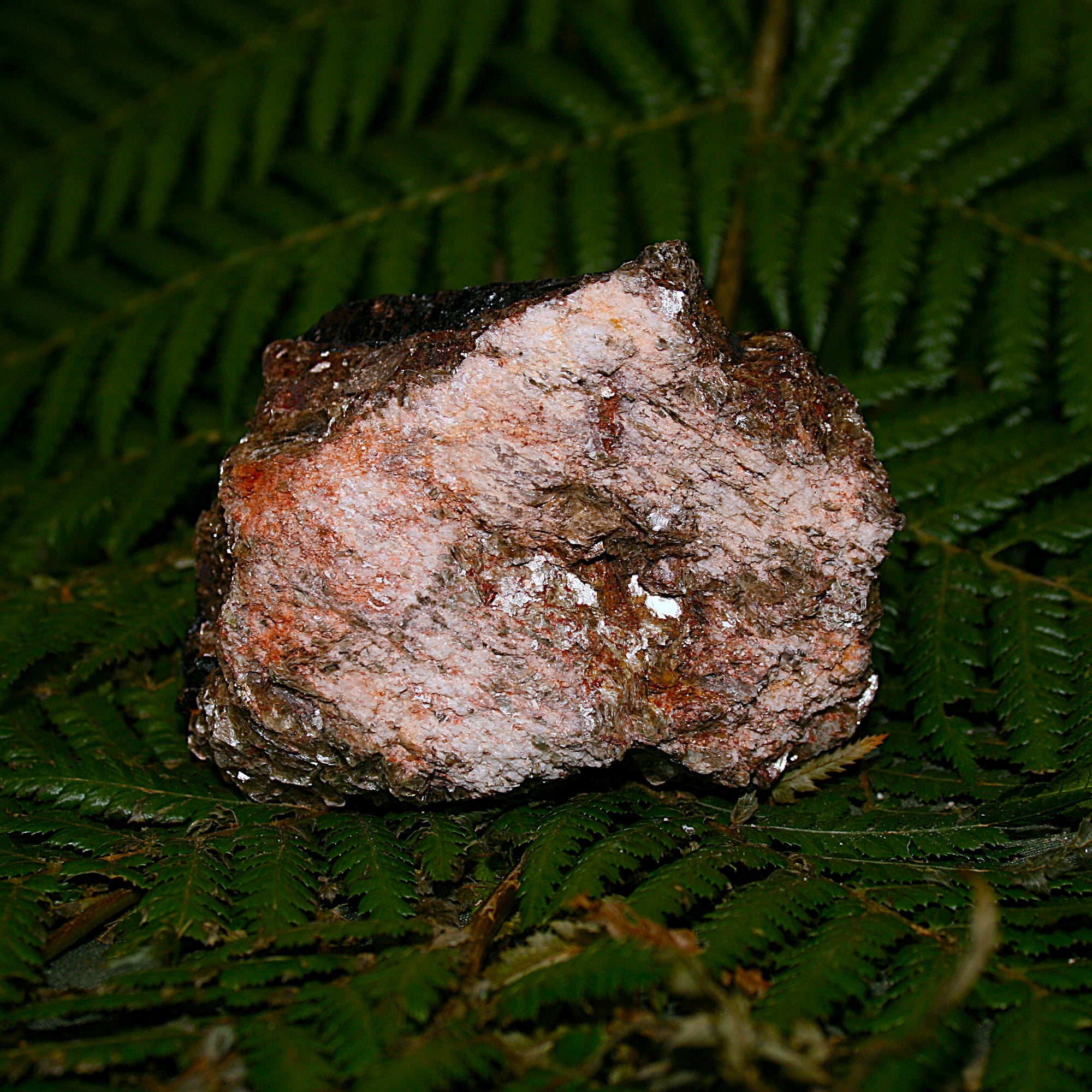 Black Tourmaline with Mica