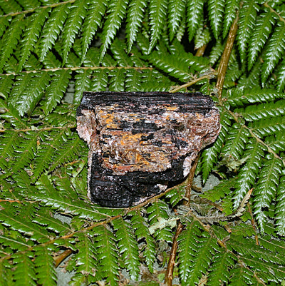 Black Tourmaline with Mica