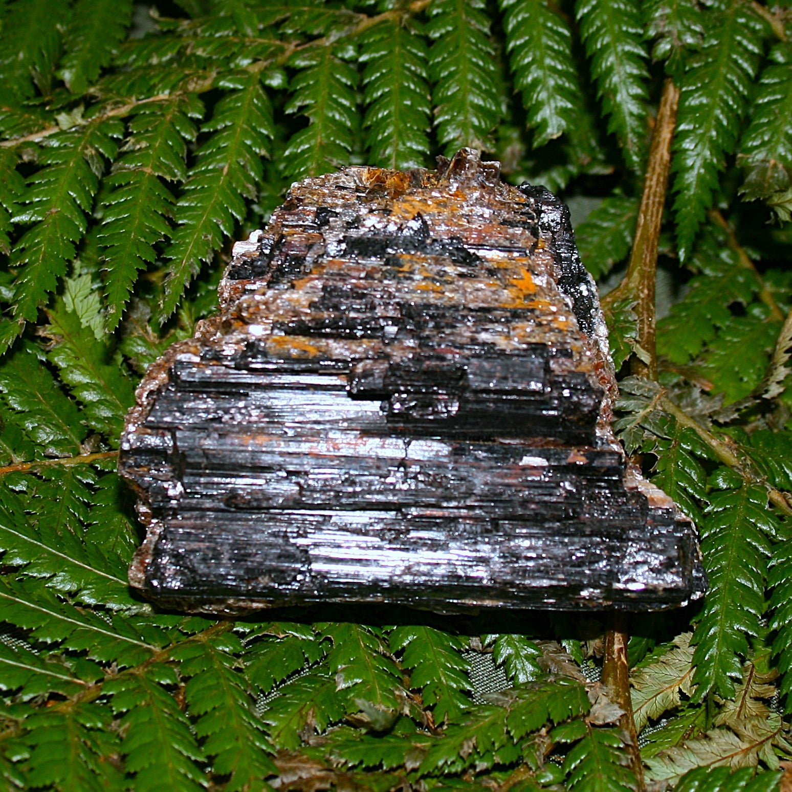 Black Tourmaline with Mica