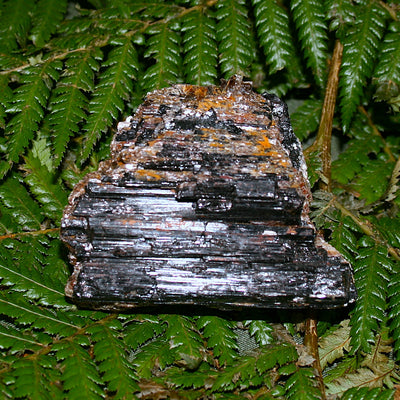 Black Tourmaline with Mica