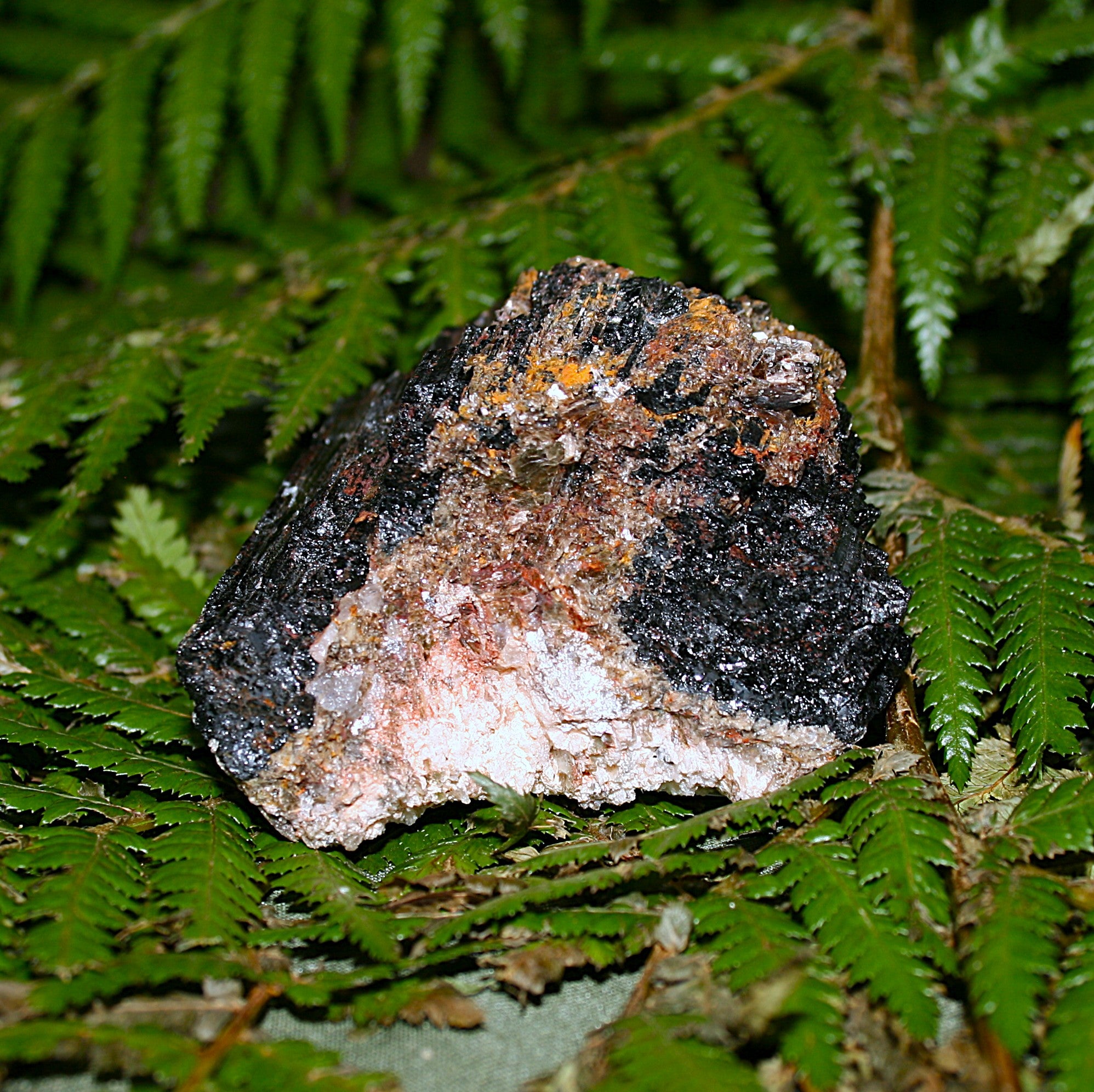 Black Tourmaline with Mica