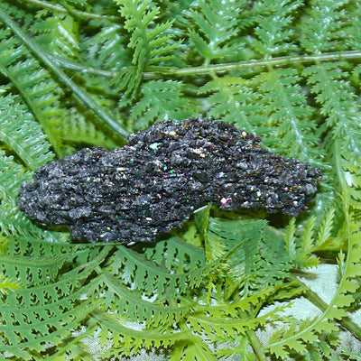 Carborundum