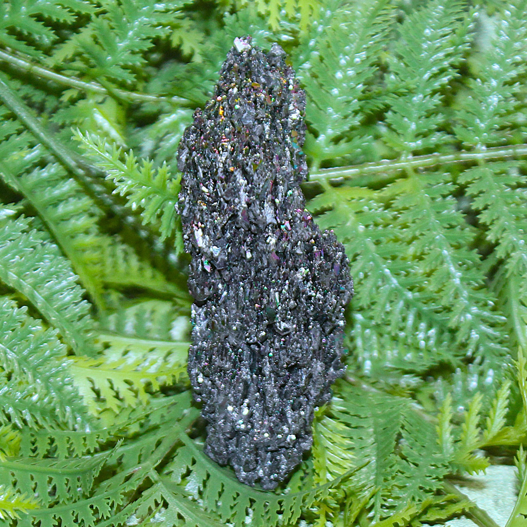 Carborundum