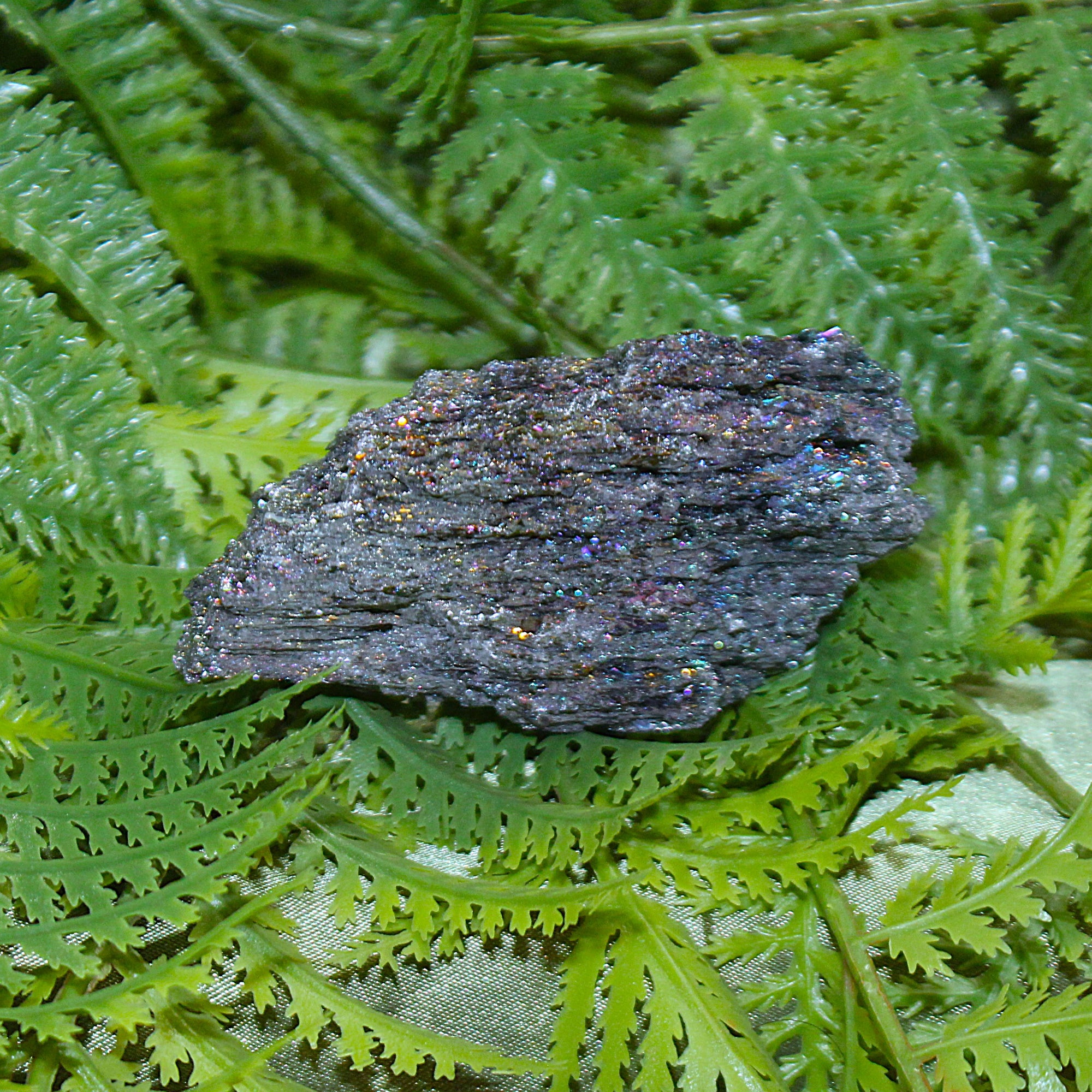 Carborundum