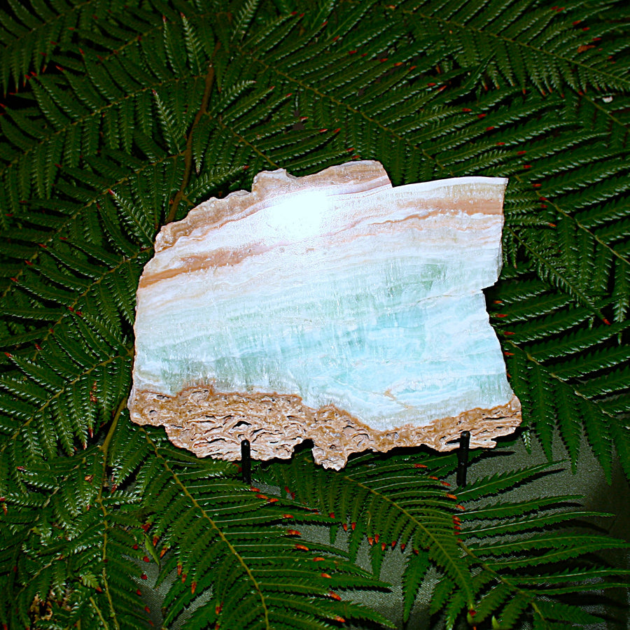 Caribbean Calcite Slab