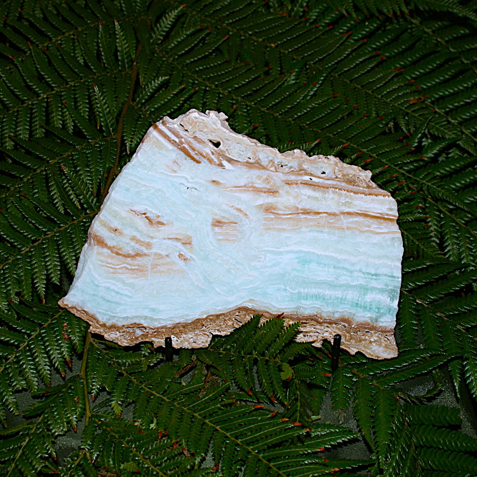 Caribbean Calcite Slab