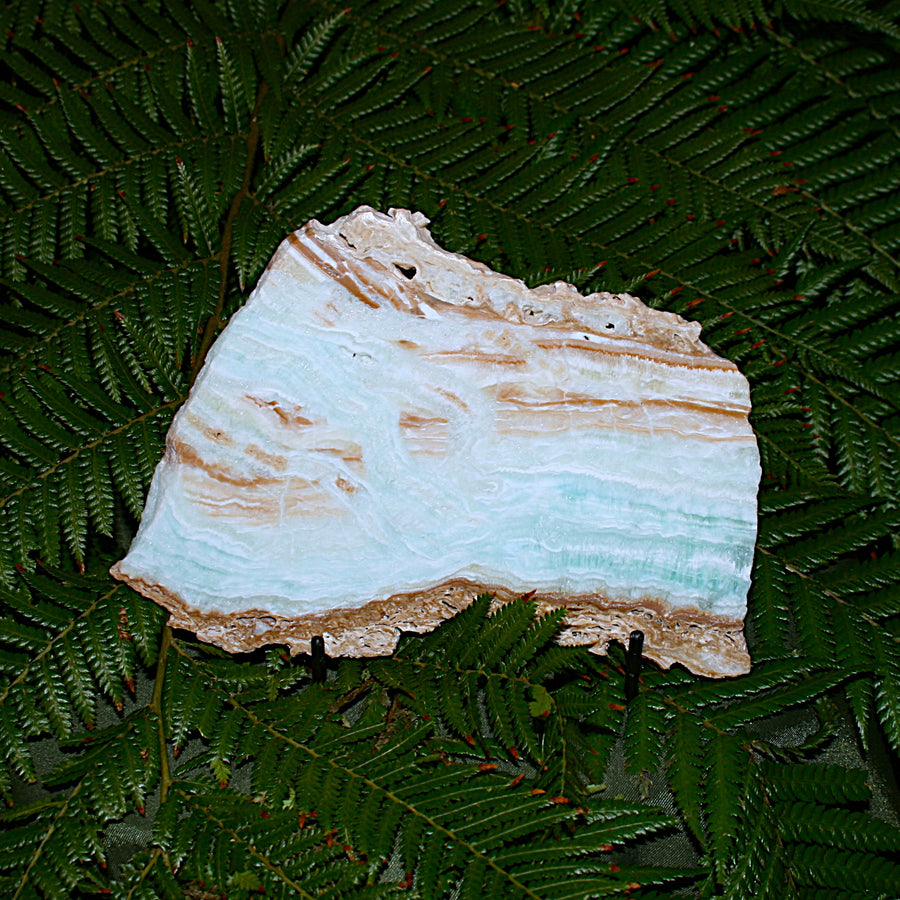 Caribbean Calcite Slab