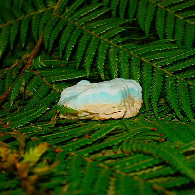 Raw Caribbean Calcite