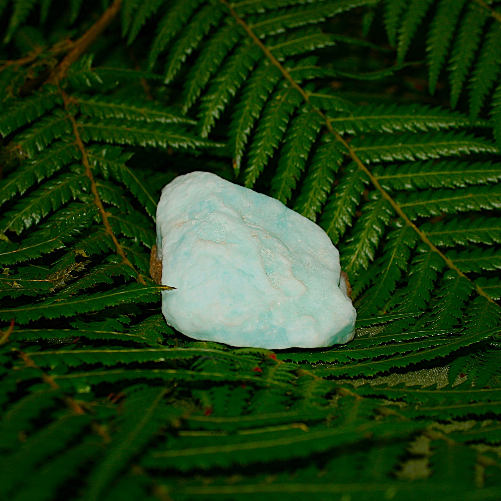 Raw Caribbean Calcite