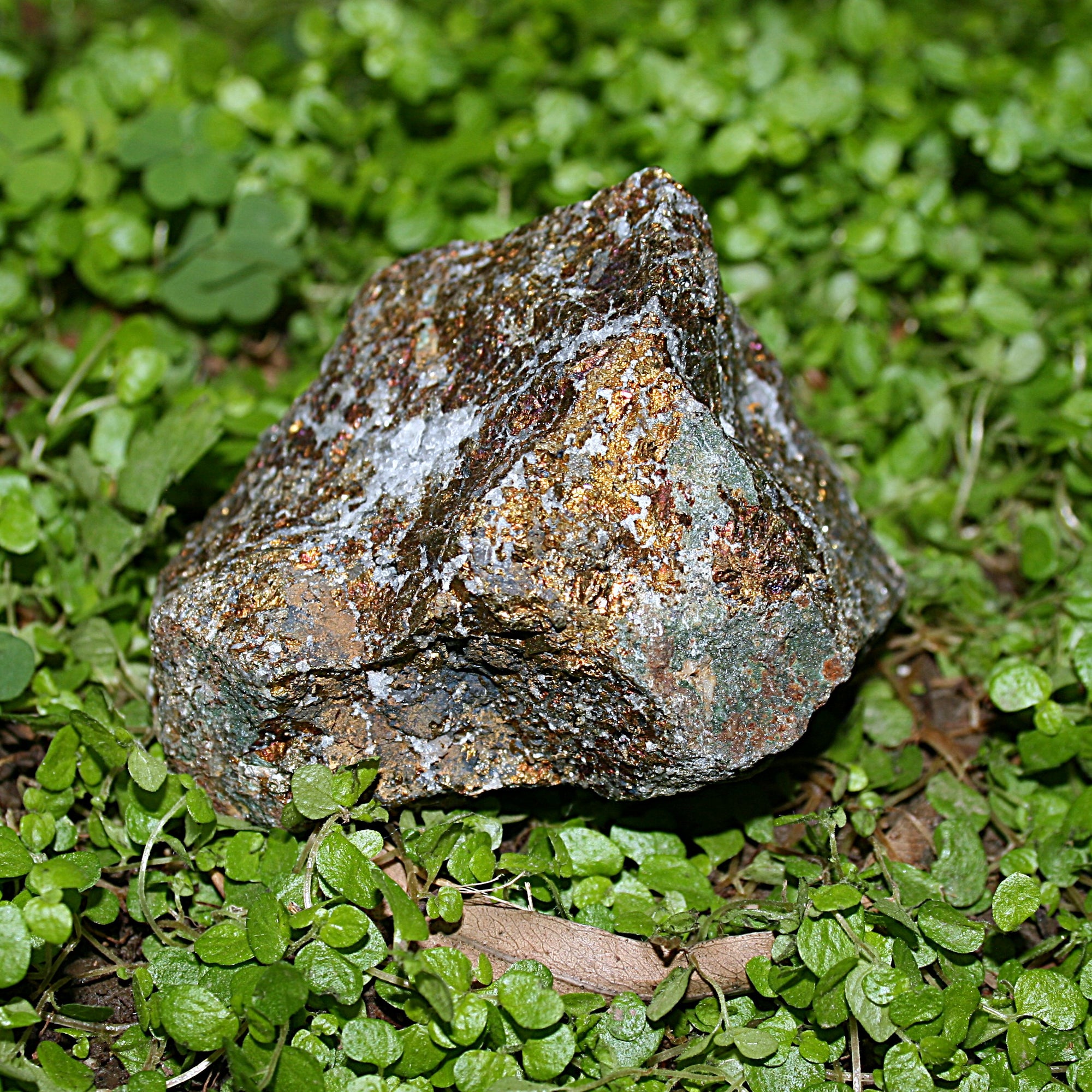 Raw Chalcopyrite