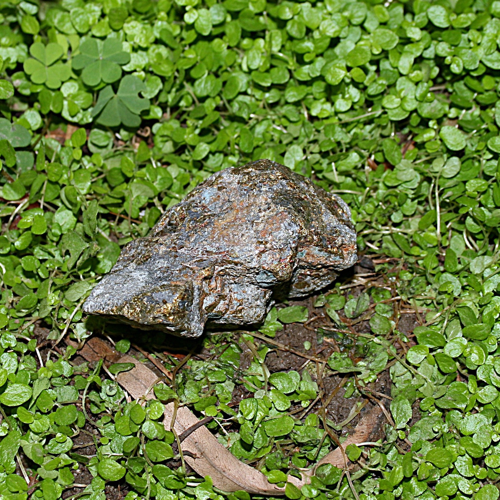 Raw Chalcopyrite