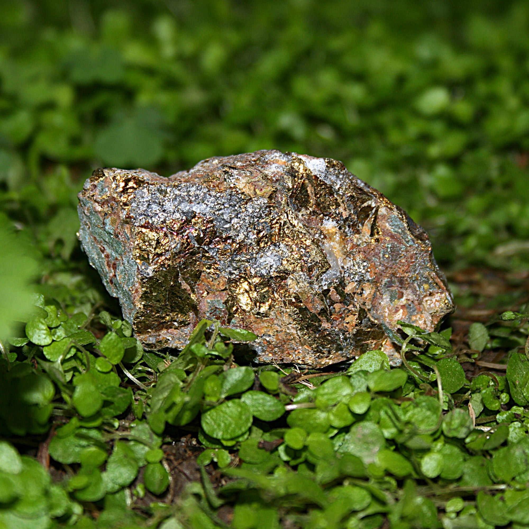 Raw Chalcopyrite