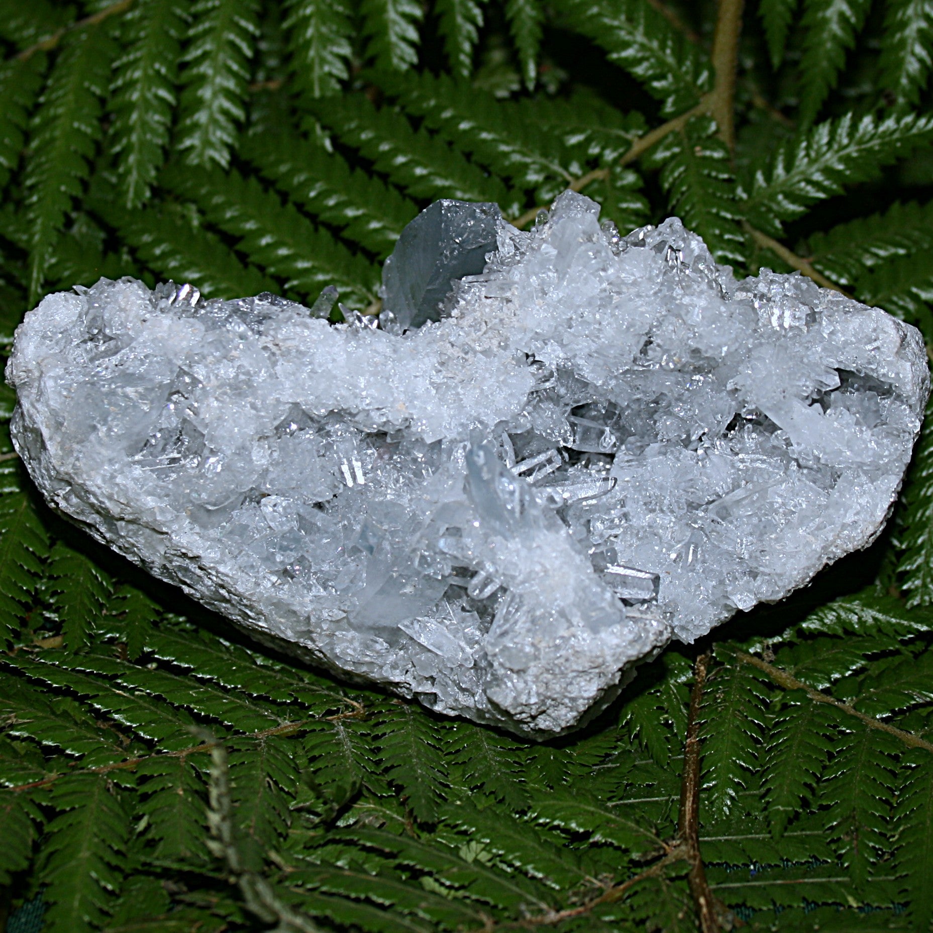 Raw Gemmy Celestite Cluster