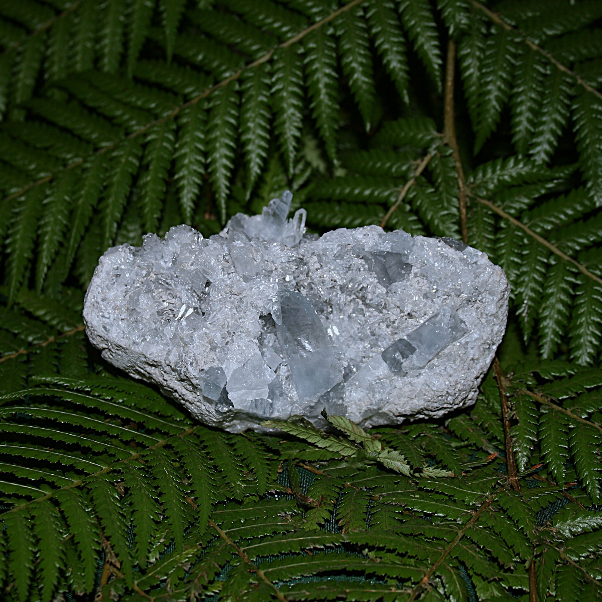 Raw Gemmy Celestite Cluster