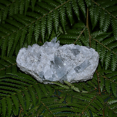 Raw Gemmy Celestite Cluster