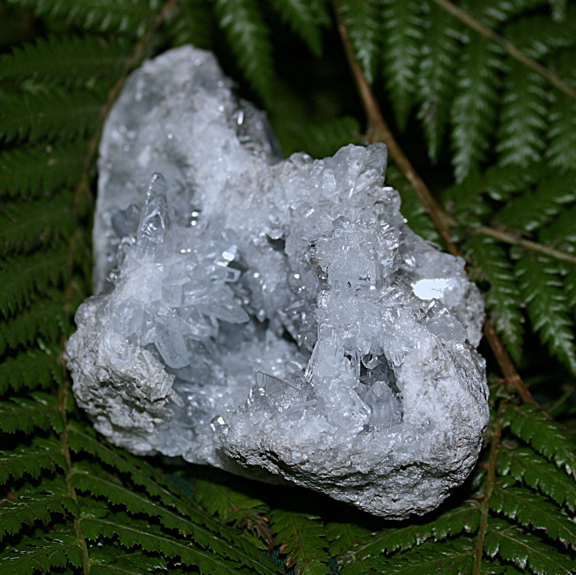 Raw Gemmy Celestite Cluster