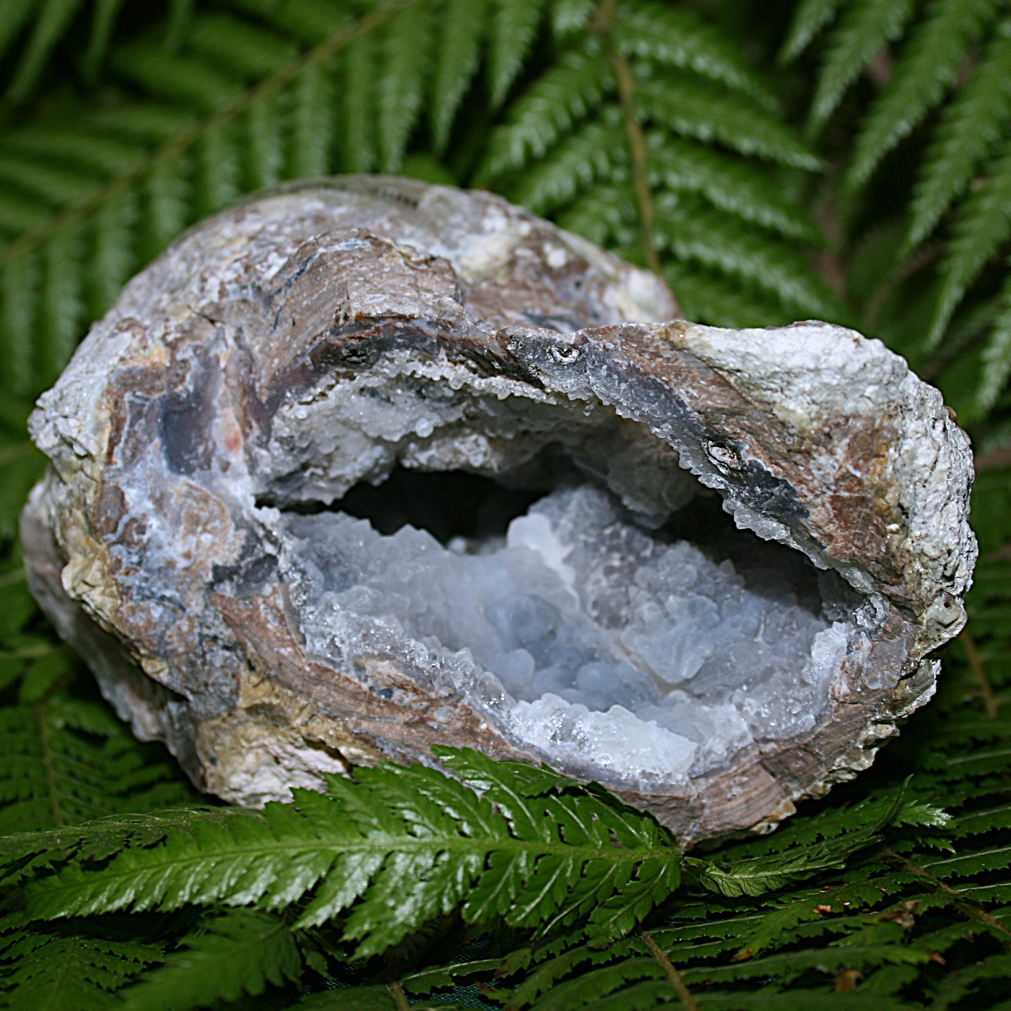 Chalcedony Matrix