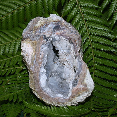 Chalcedony Matrix