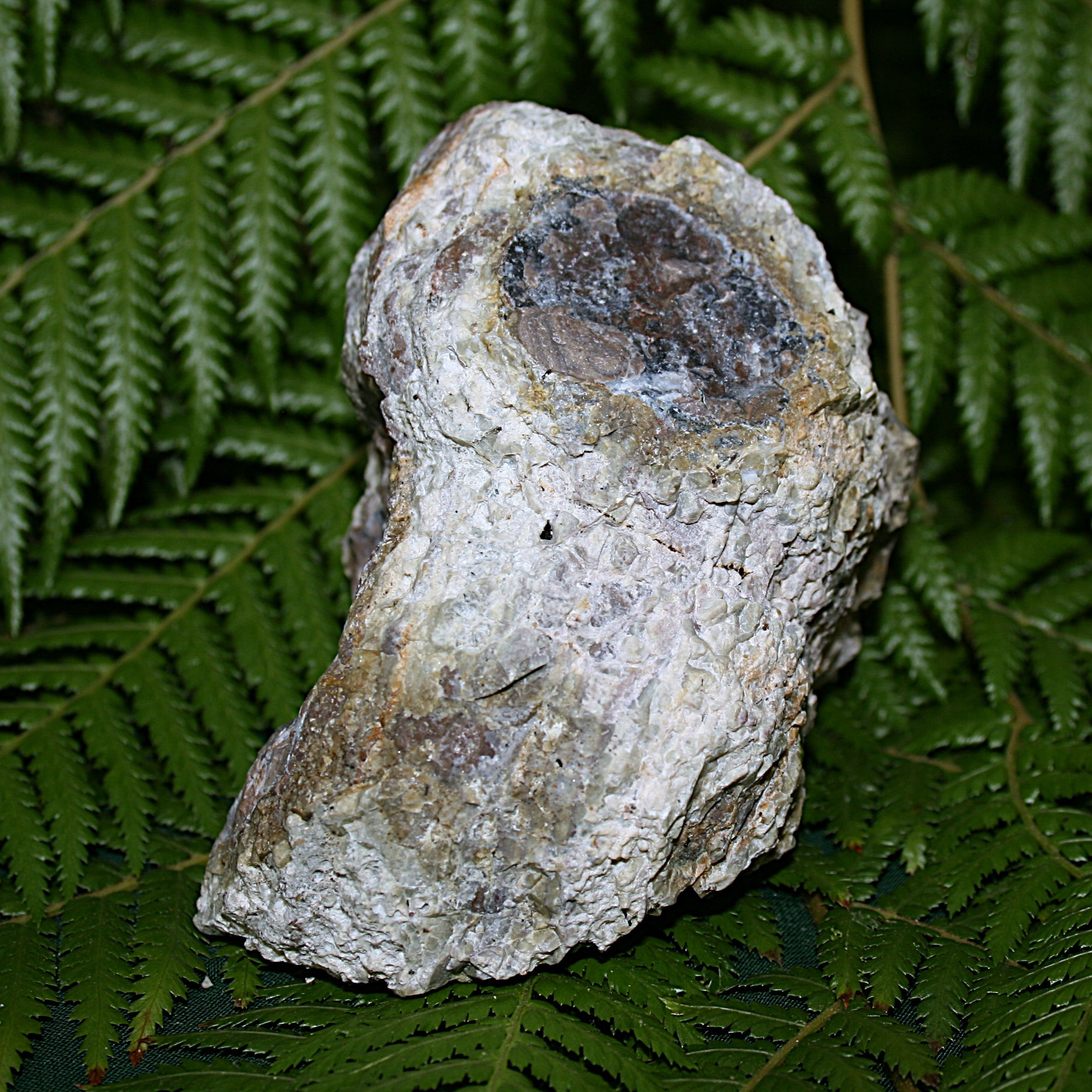 Chalcedony Matrix