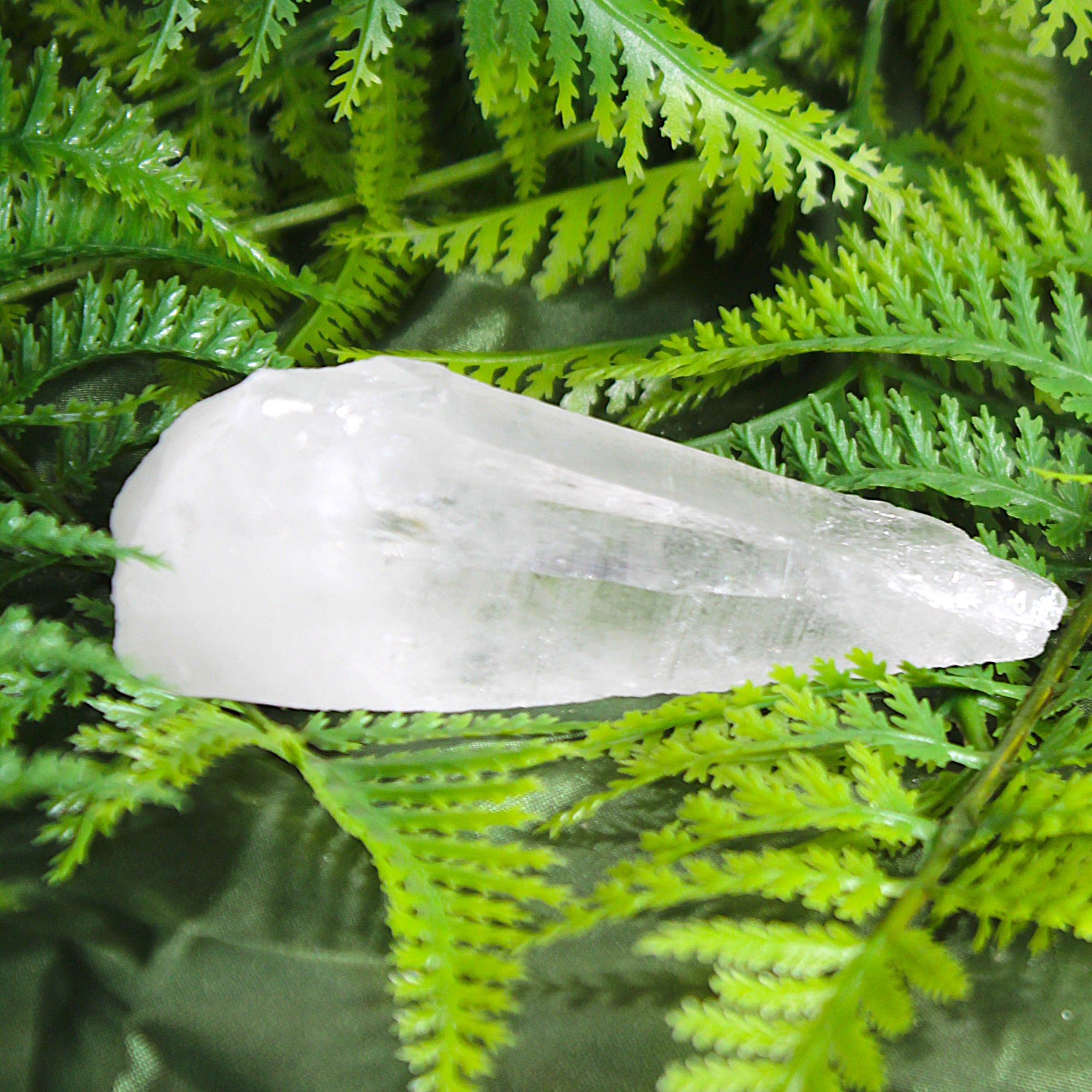 Lemurian Seed Crystal Point