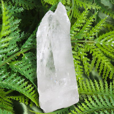 Lemurian Seed Crystal Point