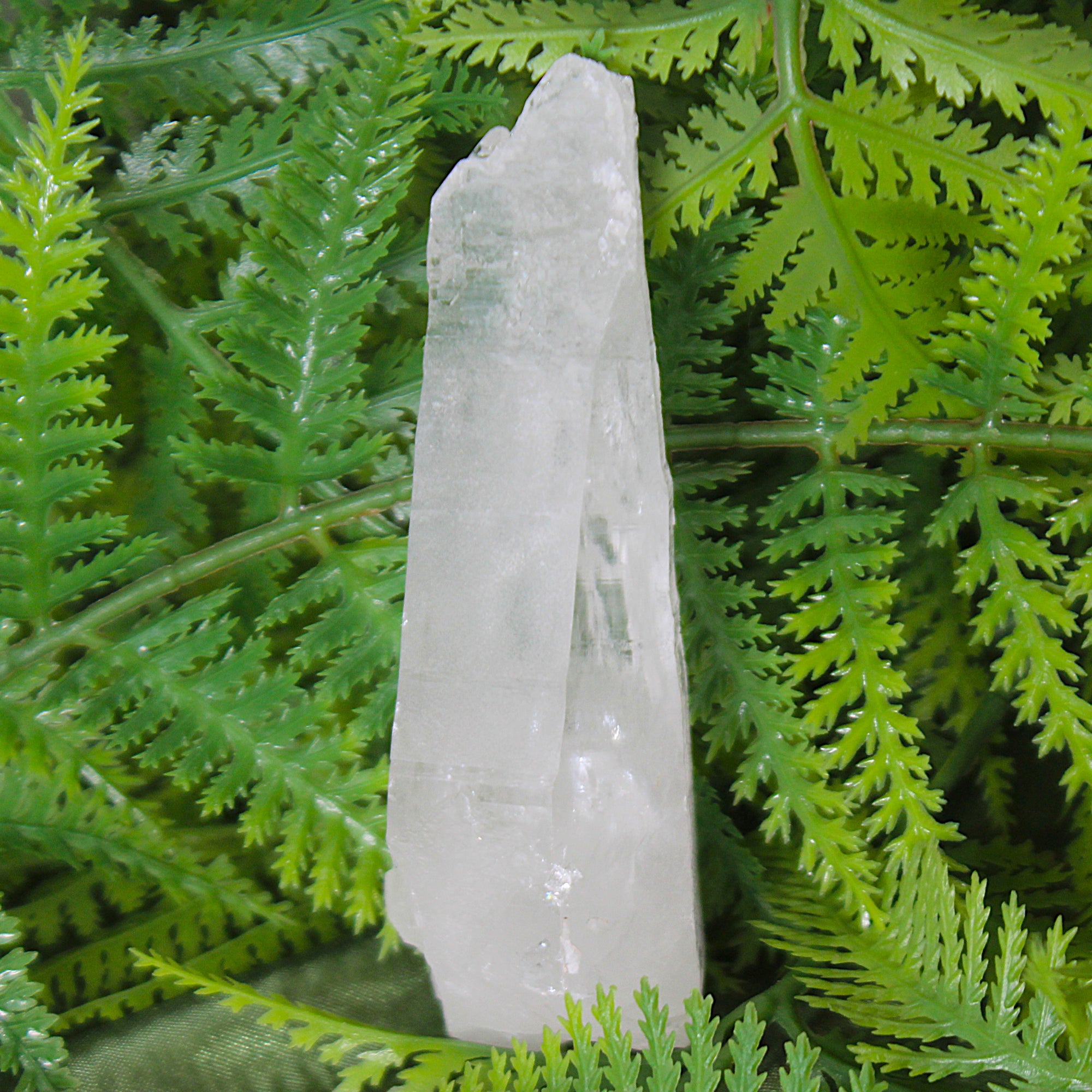 Lemurian Seed Crystal Point