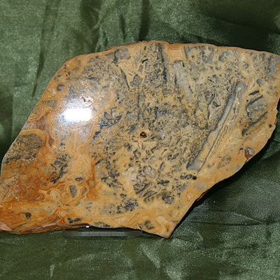 Australian Crazy Lace Agate Slab